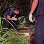 Dois trabalhadores são sequestrados e executados em área de mata na Cidade do Povo, em Rio Branco